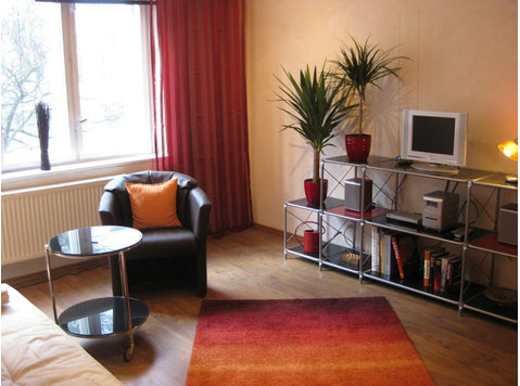 Wonderful and clean apartment close to city center - Til Leie
