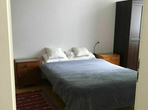 Furnished 1 Br Apartment Berlin Mitte - اپارٹمنٹ