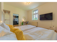 Modern and cozy apartment in the center near the university - For Rent