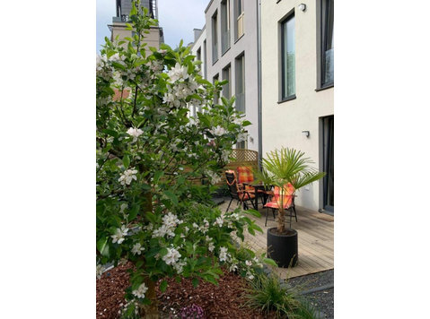 Townhouse Apartment in the city center, 50 meters from the… - For Rent