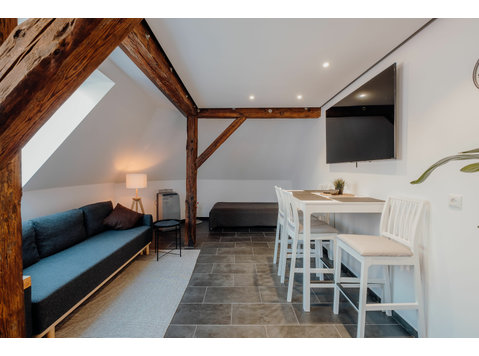 Stylish and quality apartment right on the river - For Rent
