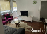 Beautiful one bedroom apartment with living room and wifi - Asunnot
