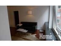 Beautiful one bedroom apartment with living room and wifi - Asunnot