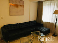 Beautiful one bedroom apartment with living room and wifi - Lakások
