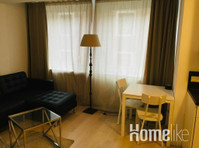 Beautiful one bedroom apartment with living room and wifi - Wohnungen