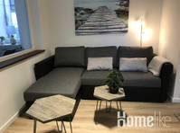 Central, modern and bright 3 room apartment - アパート