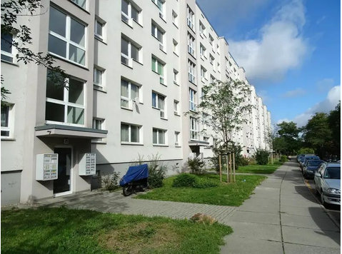 Bright Studio Apartment for Rent in Dresden - For Rent