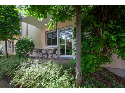 Cute and great flat in Dresden - For Rent