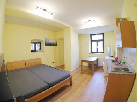 Fully furnished 1 room apartment in Dresden Trachau - K pronájmu