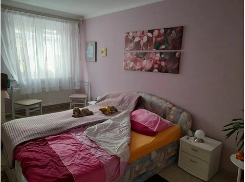 Furnished 2-room apartment in Dresden - 임대