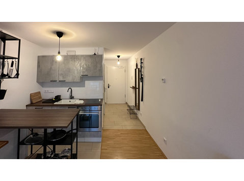 Lovely Studio Apartment with balcony - Vuokralle