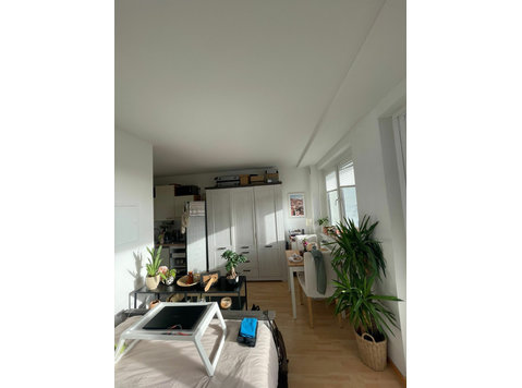 Small, nice, furnished apartment near the Elbe and the… - Vuokralle