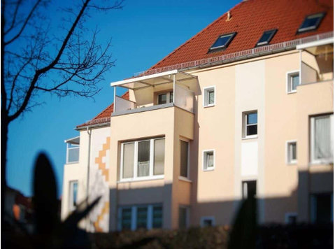 Apartment in Adolfstraße - Wohnungen