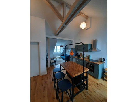 Modern apartment with roof terrace Leipzig South - For Rent