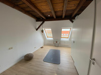 Very bright, loft-like 3-room attic apartment in Möckern - کرائے کے لیۓ
