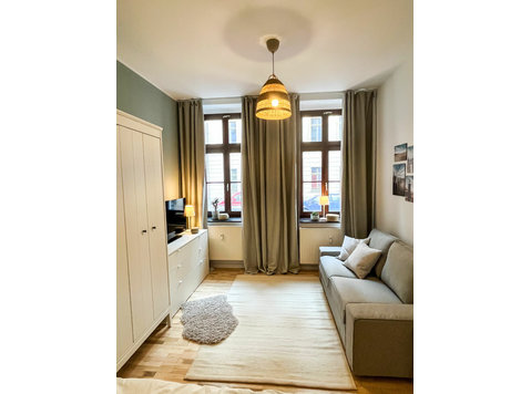 Wonderful and fashionable flat located in Leipzig - For Rent