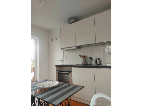 Charming flat with large roof terrace - Til Leie