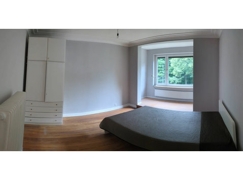 Frisch renovierte 3 Zimmer Wohnung -Teil möbliert - WG… - Zu Vermieten
