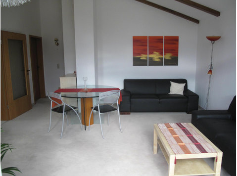 2 bedroom apartment (Offenbach am Main) - close to… - Te Huur