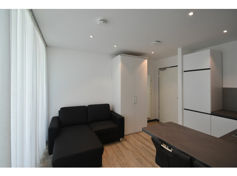 2-room apartment, new and modern furnished (no equipment,… - الإيجار