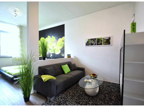 Very spacious apartment near airport - modernly furnished,… - À louer