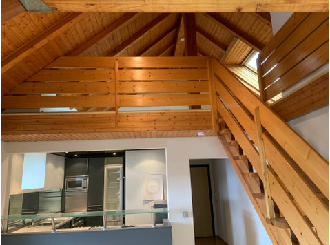 Neues & modisches Studio in Viernheim - Zu Vermieten