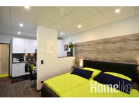 Service apartment, fully equipped centrally in Offenbach - דירות