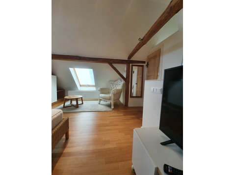 Charming apartment in converted barn in the pearl of Langen - الإيجار