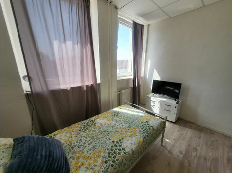 City apartment in Darmstadt - Za iznajmljivanje
