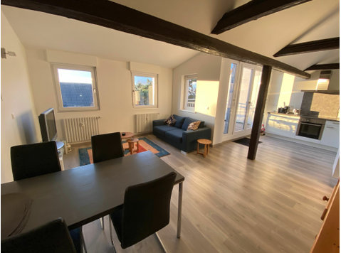 Moderne Studio-Wohnung vollmöbliert mit Terrasse und Balkon… - Zu Vermieten