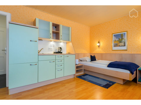 1 room flat near Bockenheimer Warte - For Rent