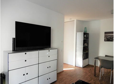 Bright, spacious and quiet 2-room apartment. - Aluguel