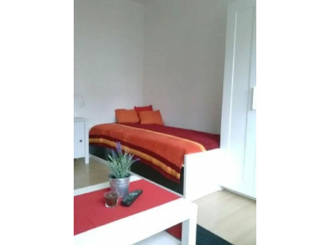 Renovated, quiet, centrally located 1 room apartment - Til leje