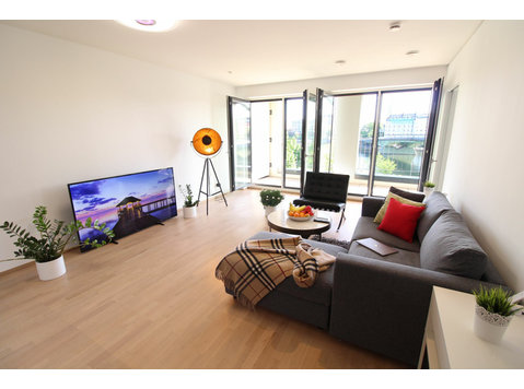 Spacious and new apartment in Frankfurt am Main - For Rent