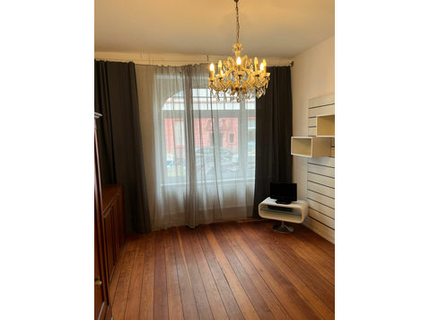 Spacious flat located in Frankfurt am Main - For Rent