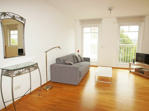 Wonderful and charming home located in Frankfurt am Main -  வாடகைக்கு 