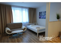 Large furnished 1 room apartment in central city location… - Квартиры