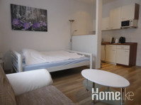 Large furnished 1 room apartment in central city location… - Lejligheder
