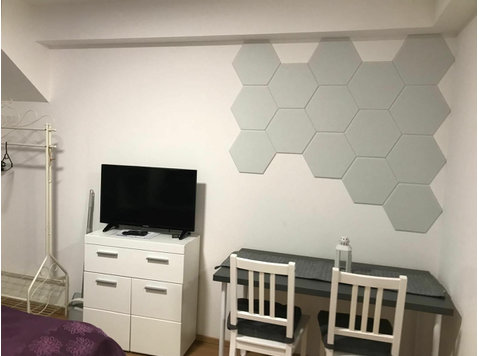 Modernes Basement-Studio mit Queensize-Boxspringbett und… - Zu Vermieten