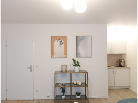 Beautiful and neat studio located in Wiesbaden - For Rent