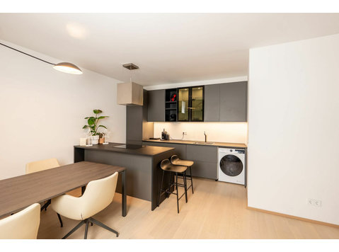 Modern apartment in the heart of Wiesbaden city - 出租