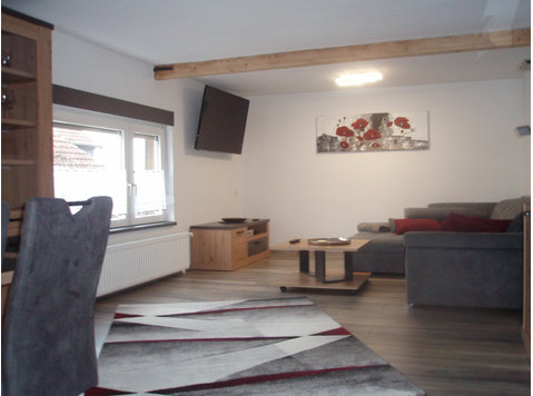 Completely renovated and newly furnished bright and cozy… - À louer