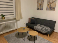 Pretty apartment in Göttingen - השכרה