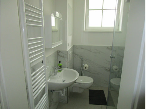 New & fashionable home in nice area (Hannover) - For Rent