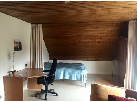 Comfortable apartment in excellent location in Sankt… - Alquiler