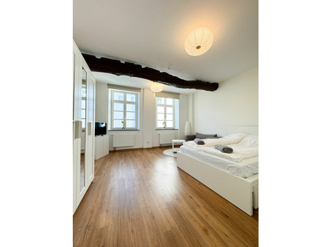 Charming and cozy Businesspartment in Stolberg - Disewakan