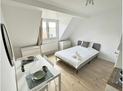 New & cozy Studio in the City Center with Roof Top View - For Rent