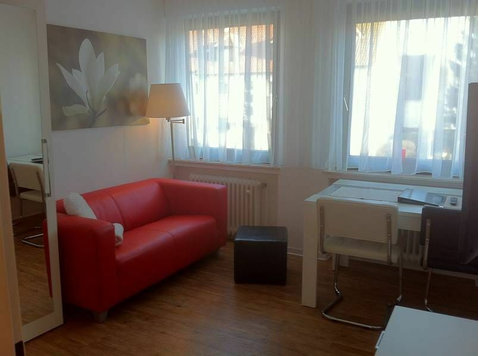 Cozy and fully equipped apartment - Aluguel