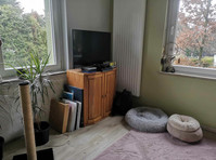 Fully furnished apartment with private garden for sole use - Za iznajmljivanje