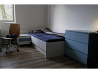 Furnished 13 m² room in a student hall of residence - K pronájmu